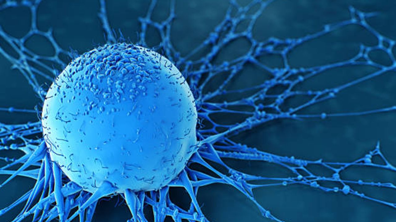 PD-1/PD-L1 Combination Therapy in Cancer Treatment