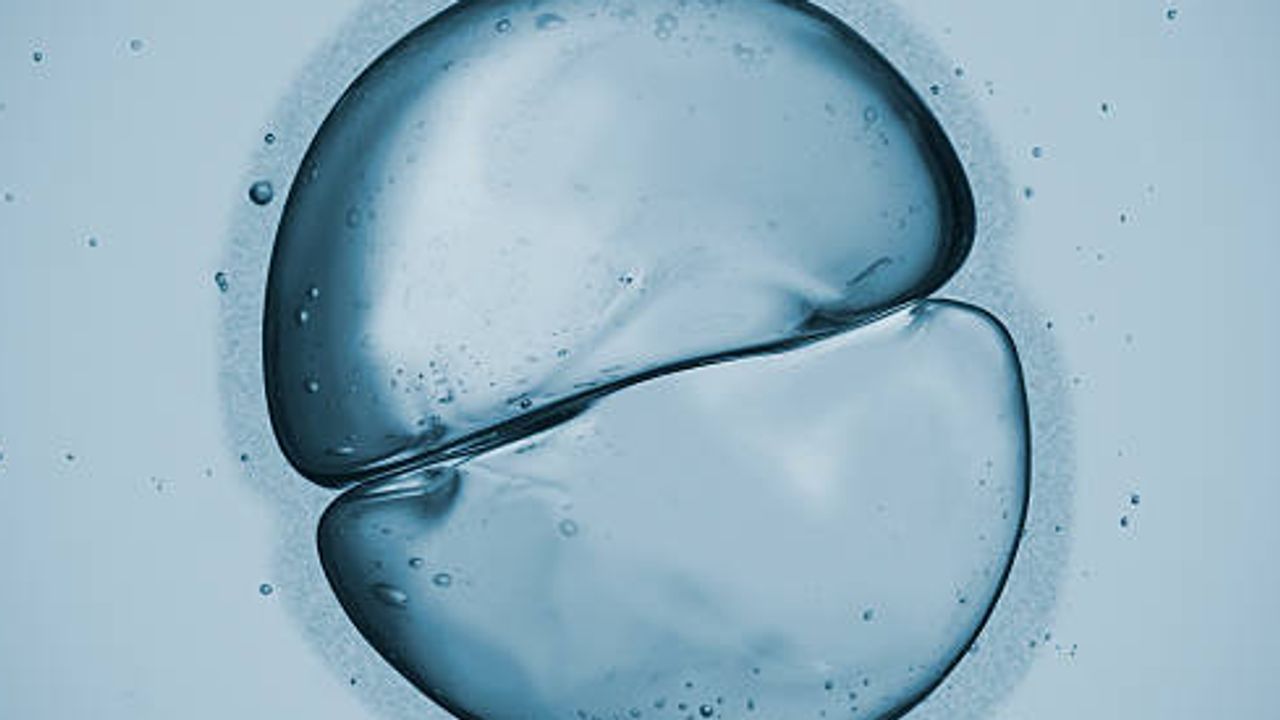 Discover the Freshness of Frozen PBMCs