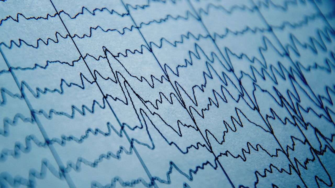 Brain Waves Related to Social Behavior Identified