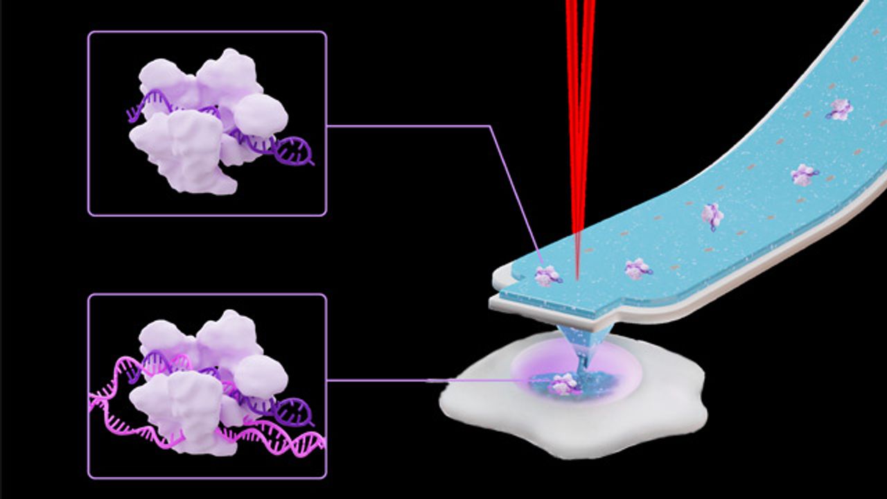 New CRISPR/Cas9 License Agreement for ERS Genomics and Cytosurge ...