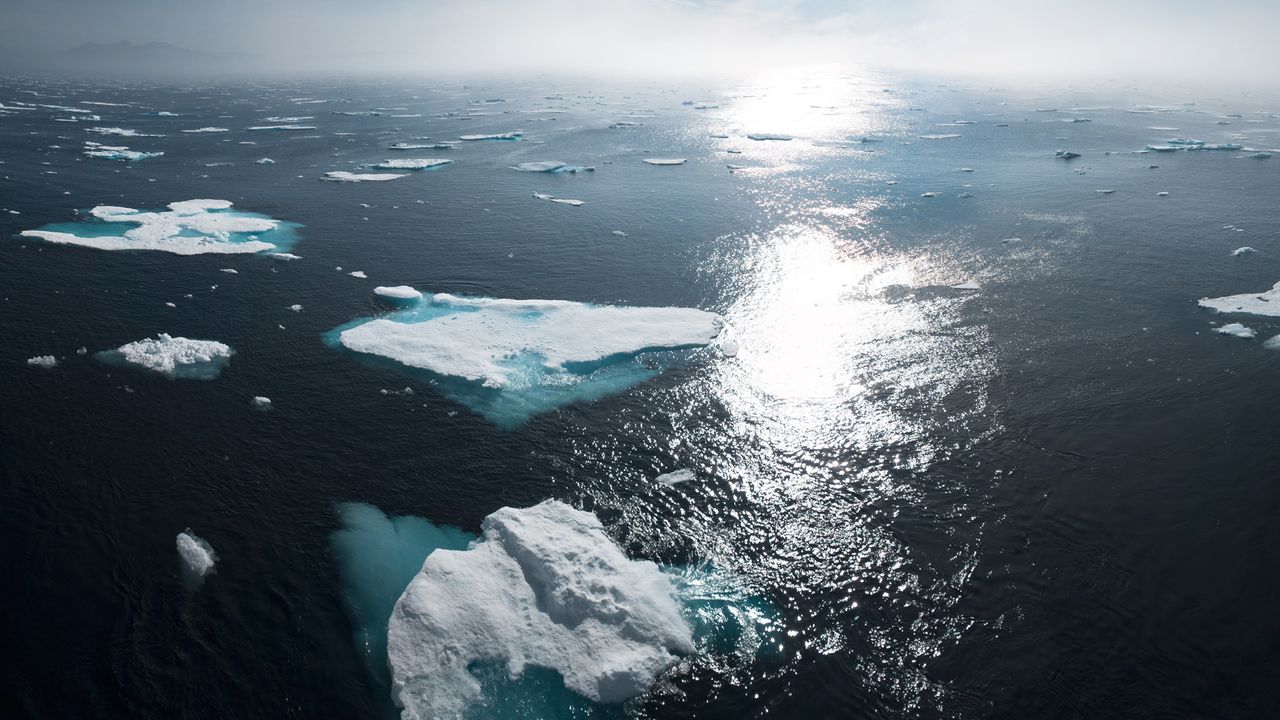 Will AI Help or Hinder the Battle Against Climate Change?