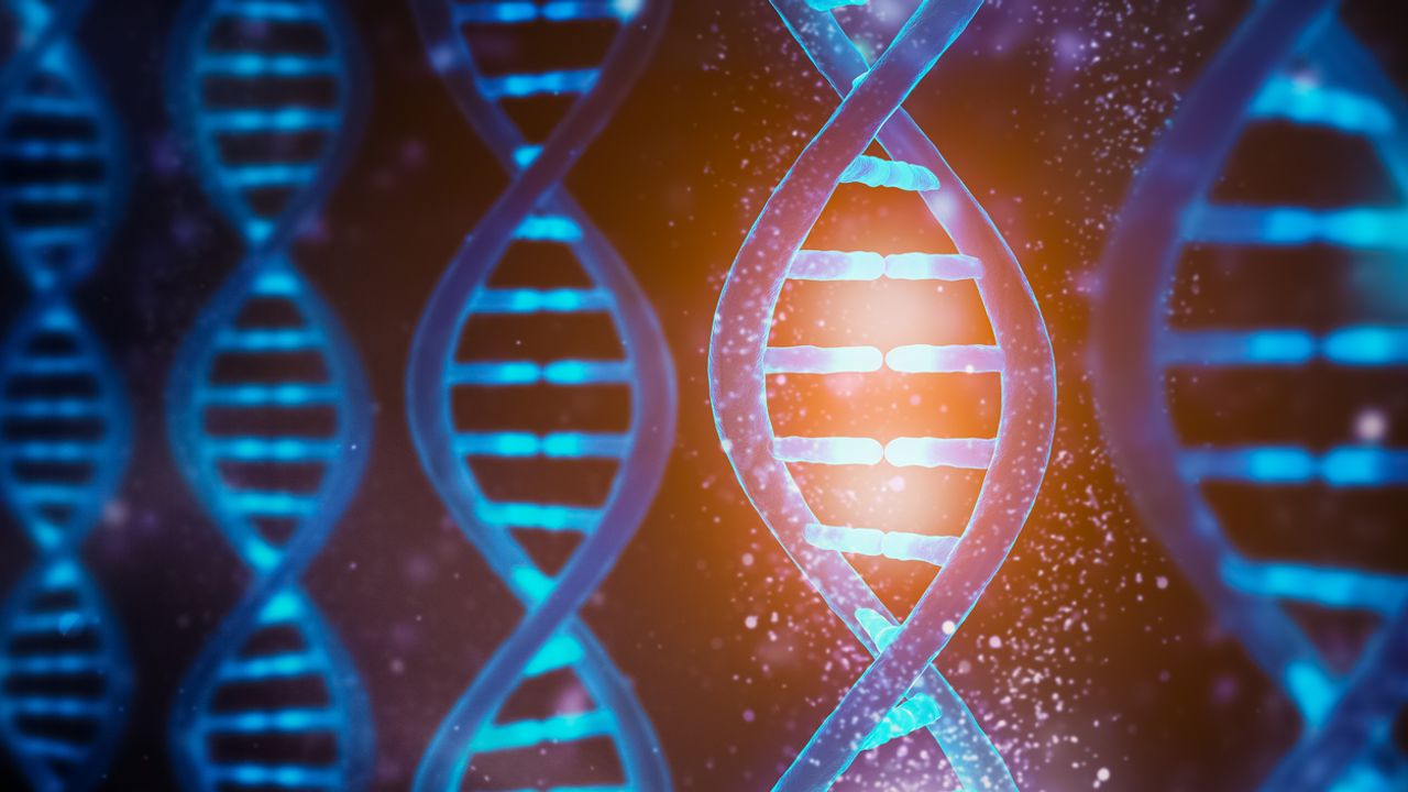 Early Research Shows Single Drug May Be Effective in Fragile X Syndrome