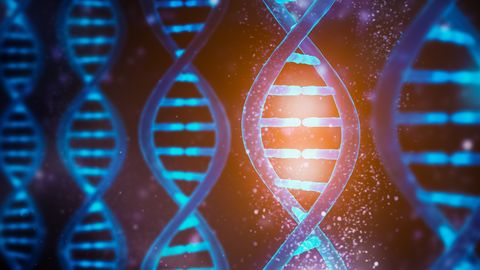 Early Research Shows Single Drug May Be Effective in Fragile X Syndrome