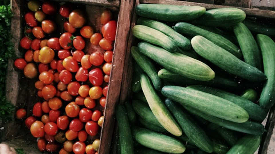 Do We Trust Gene-Edited Foods? content piece image