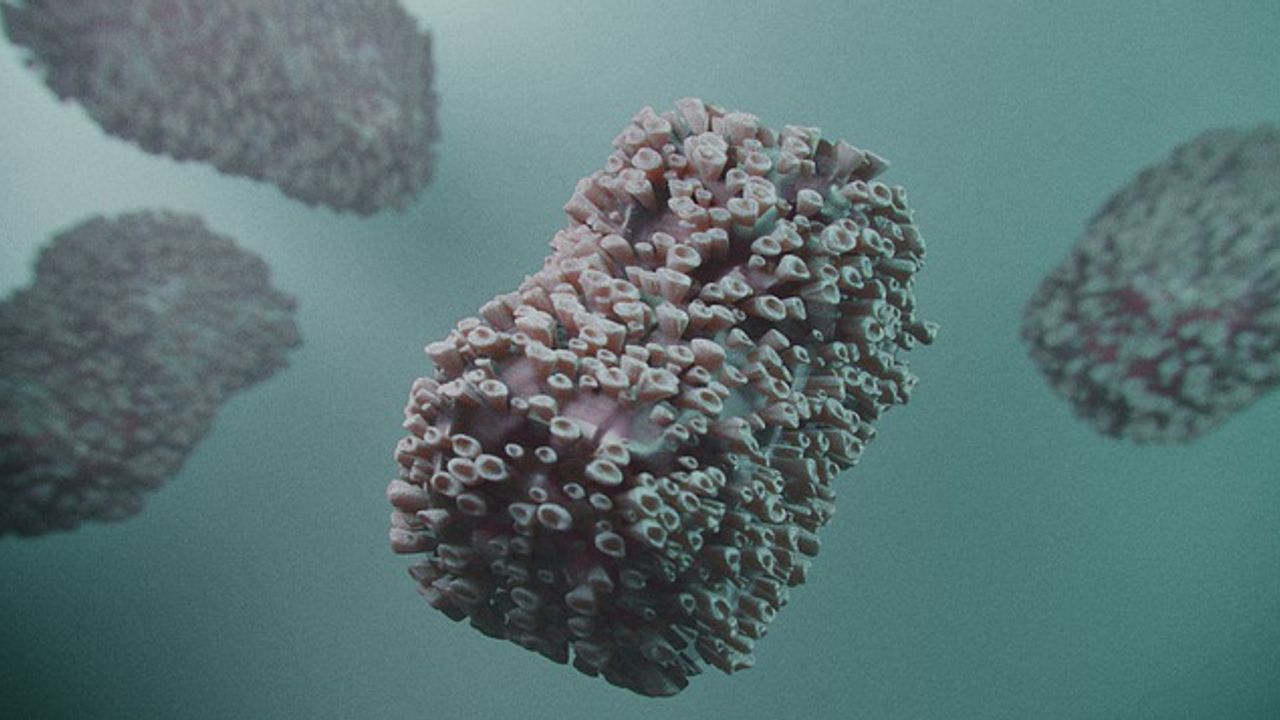 Mutations in Virus Causing Monkeypox Outbreak Allow It To Spread More Easily