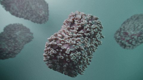 Mutations in Virus Causing Monkeypox Outbreak Allow It To Spread More Easily