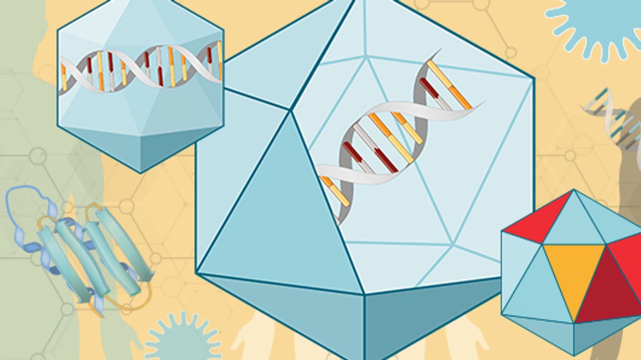 Analytical Solutions To Accelerate Your AAV Gene Therapy