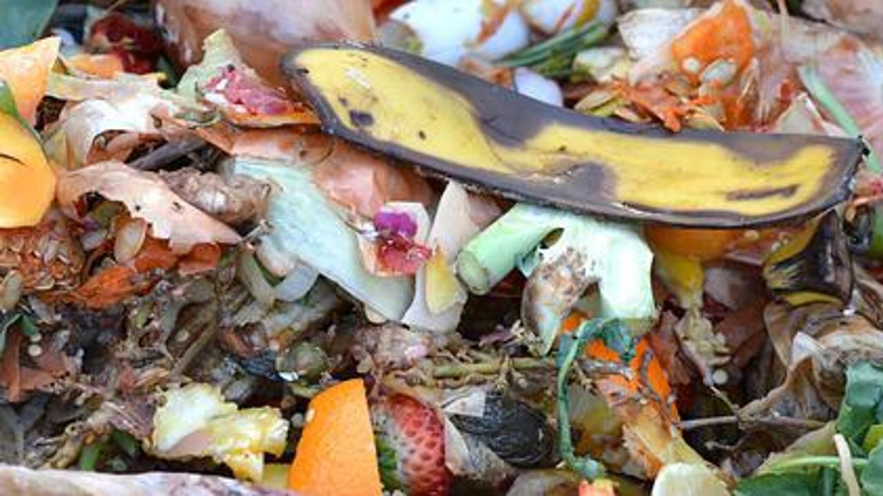 Large Quantities of Biodegradable Plastics Found in Fertilizers From Composting Plants