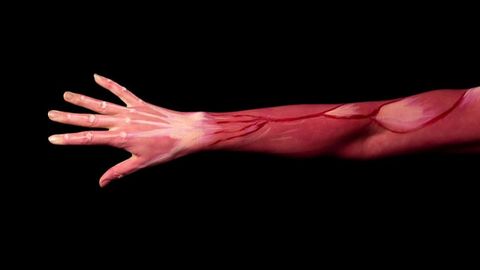 Cancer Drug Repurposed As Potential Muscular Dystrophy Therapy