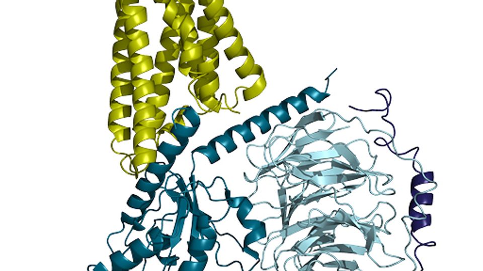 Integrative Structural Biology: High Precision 3D Analysis from Structure to Function content piece image