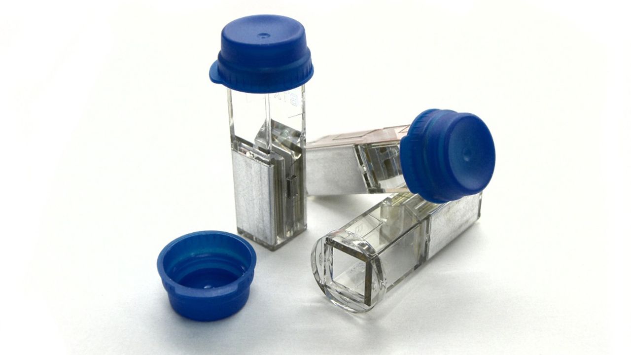 An Introduction to Electroporation – A Tool for Transfection and Competent Cell Generation