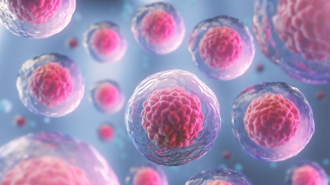 Isolation and Functional Validation of Quiescent Colorectal Cancer Stem Cells With Joseph Regan