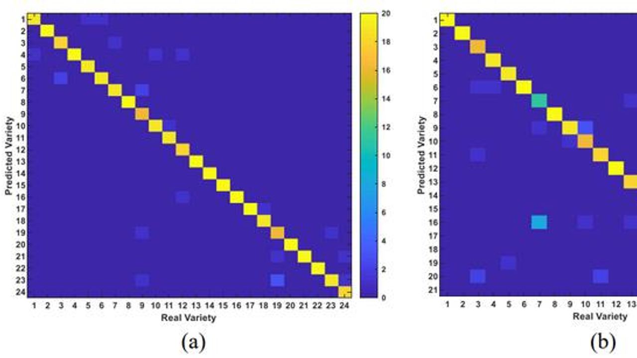 Rapid Crop Authenticity Verification Aided by Algorithm Advancement