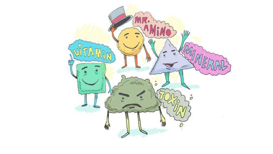What Is Metabolism? content piece image