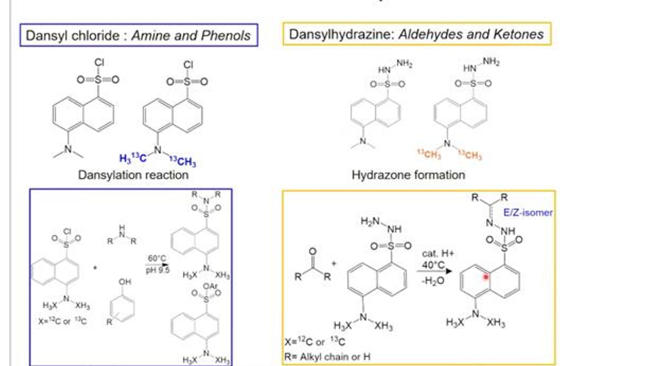 Automated Parallel Derivatization of Metabolites with SWATH-MS Data Acquisition