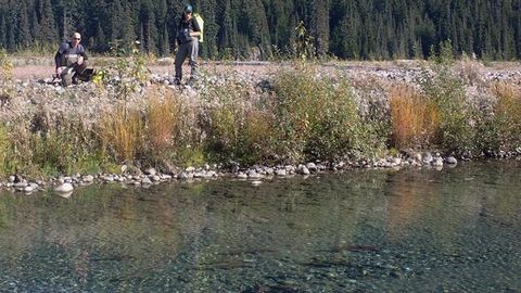 What Risks Do Past and Present Mining Activities Pose to Salmon?