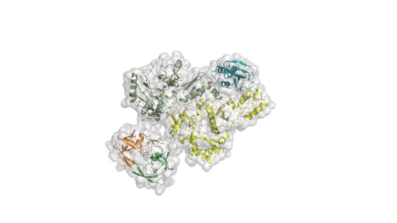 New Insights on HIV Replication Revealed at Atomic Resolution