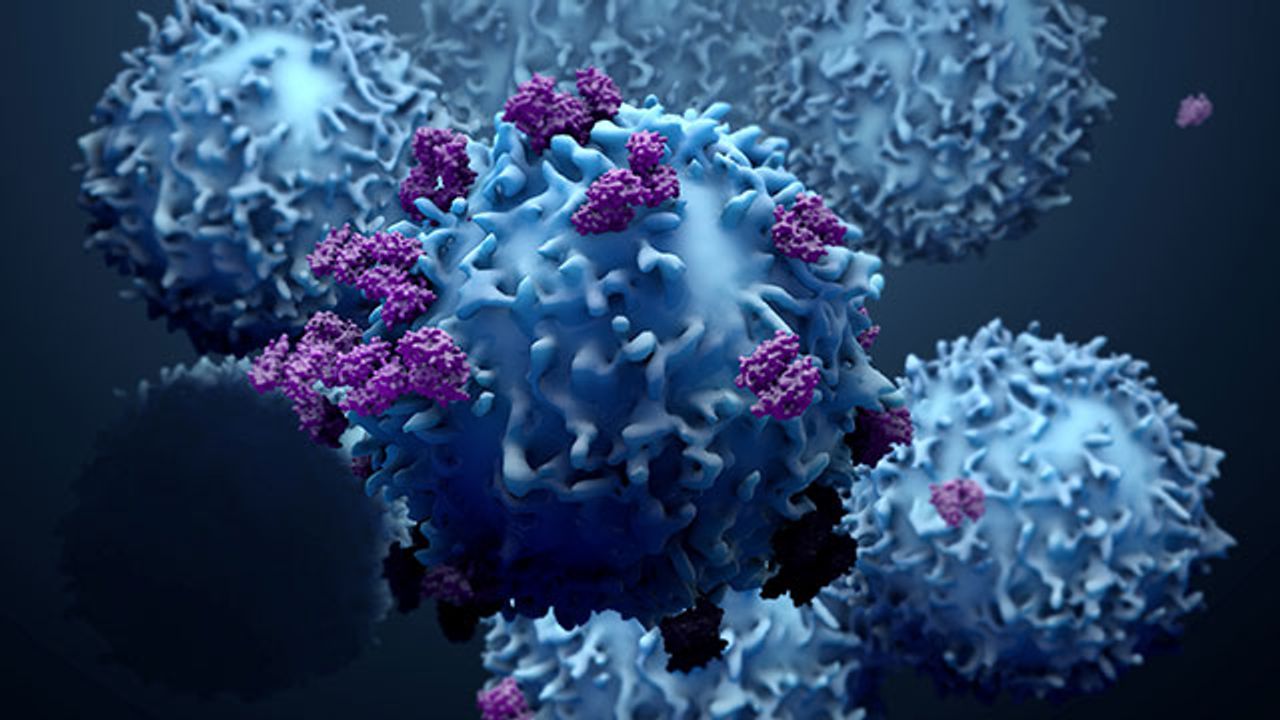 Evaluating Immune Cell Therapy Potency