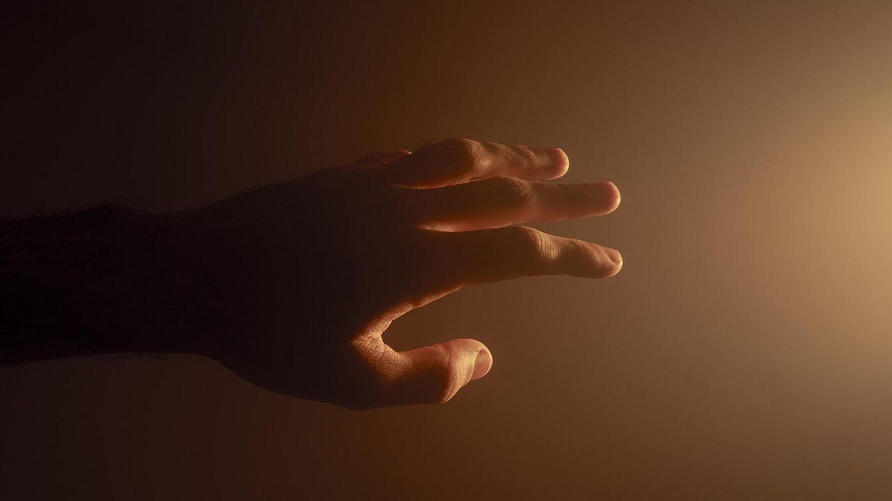 New Research Challenges Long-Held Beliefs About Limb Regeneration