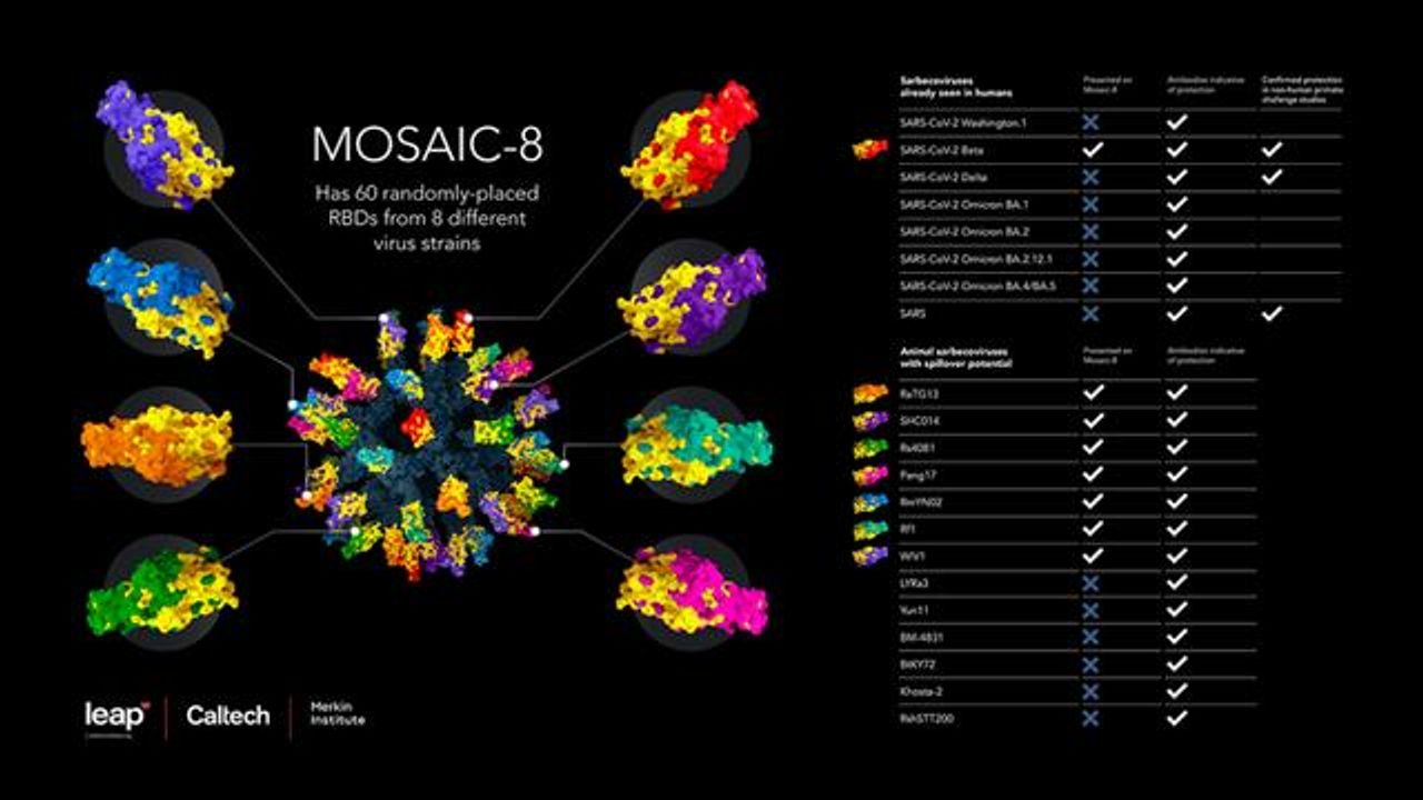 New Vaccine Offers Protection Against a Variety of SARS-Like Betacoronaviruses