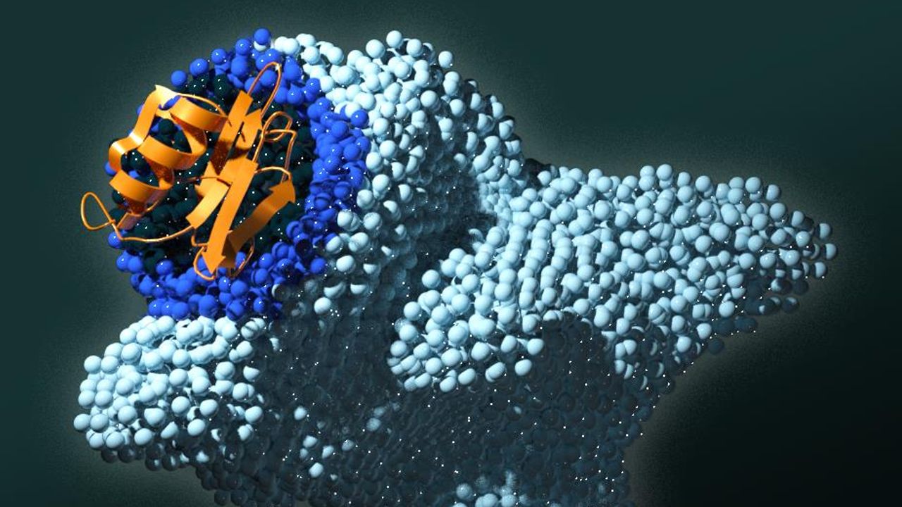 Scientists Discover Cancer Trigger From Knowledge of Plant-Microbe Interactions