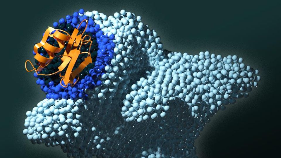 Scientists Discover Cancer Trigger From Knowledge of Plant-Microbe Interactions content piece image