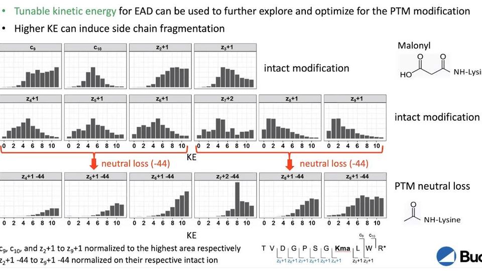 Challenges and Opportunities to Quantify Post-Translational Modifications Using Novel Proteomic Workflows and Approaches content piece image