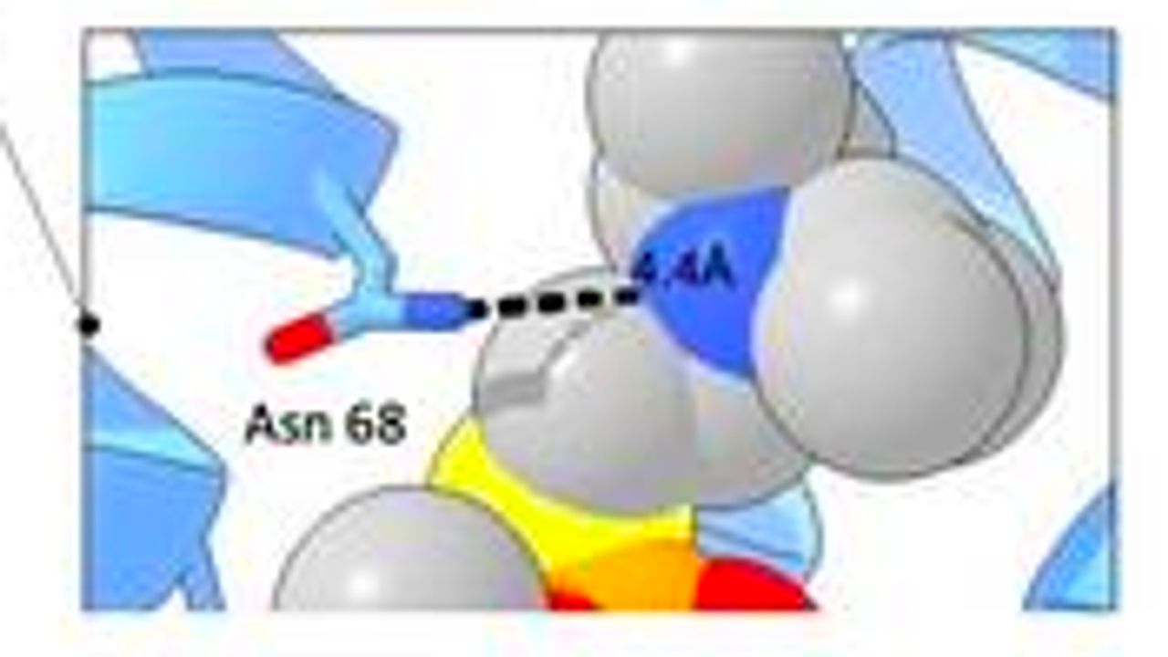 First Ever Detector for Nerve Agent VX Created