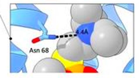 First Ever Detector for Nerve Agent VX Created