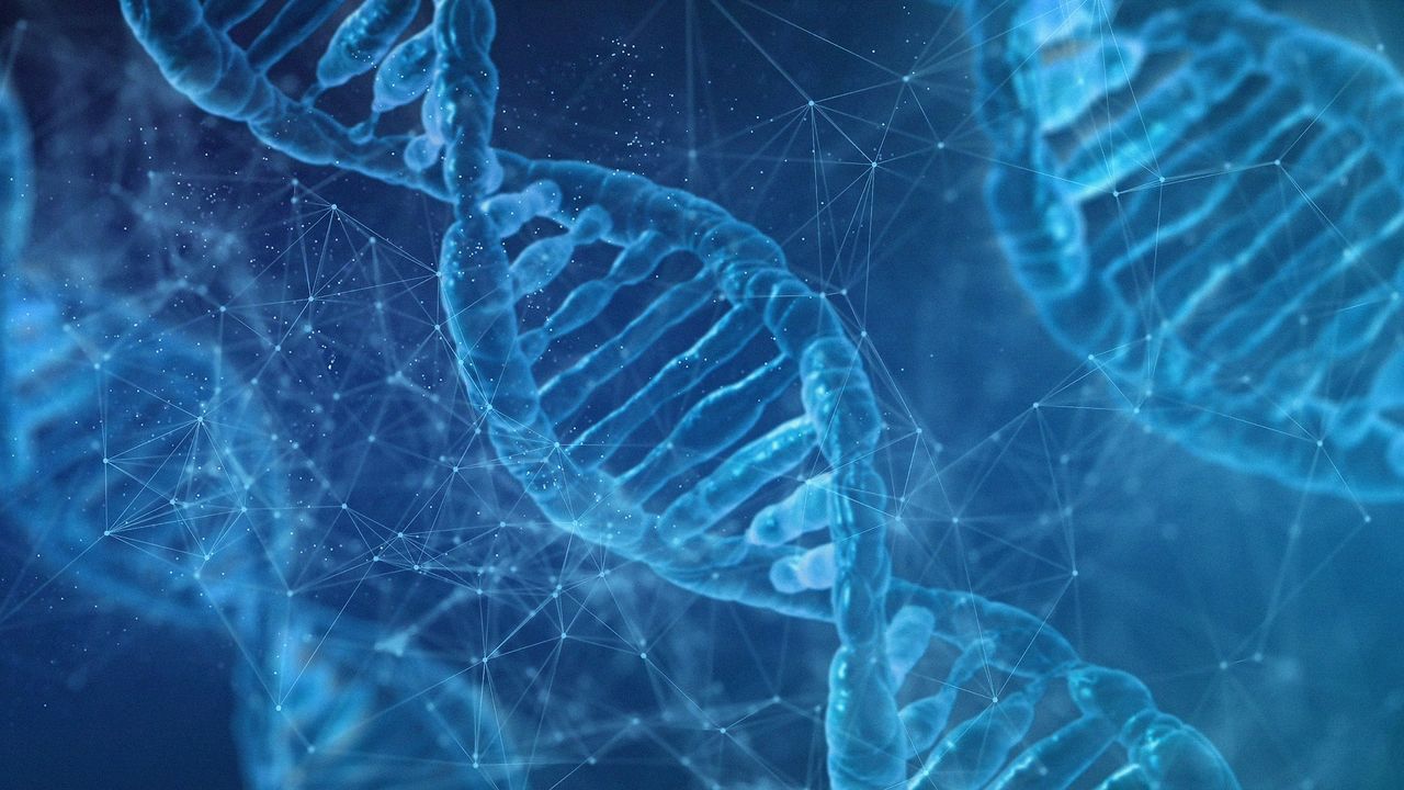 How To Find Marker Genes in Cell Clusters