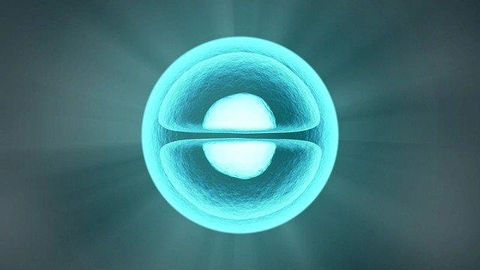 Study Reveals How EGFR Influences Cell Growth