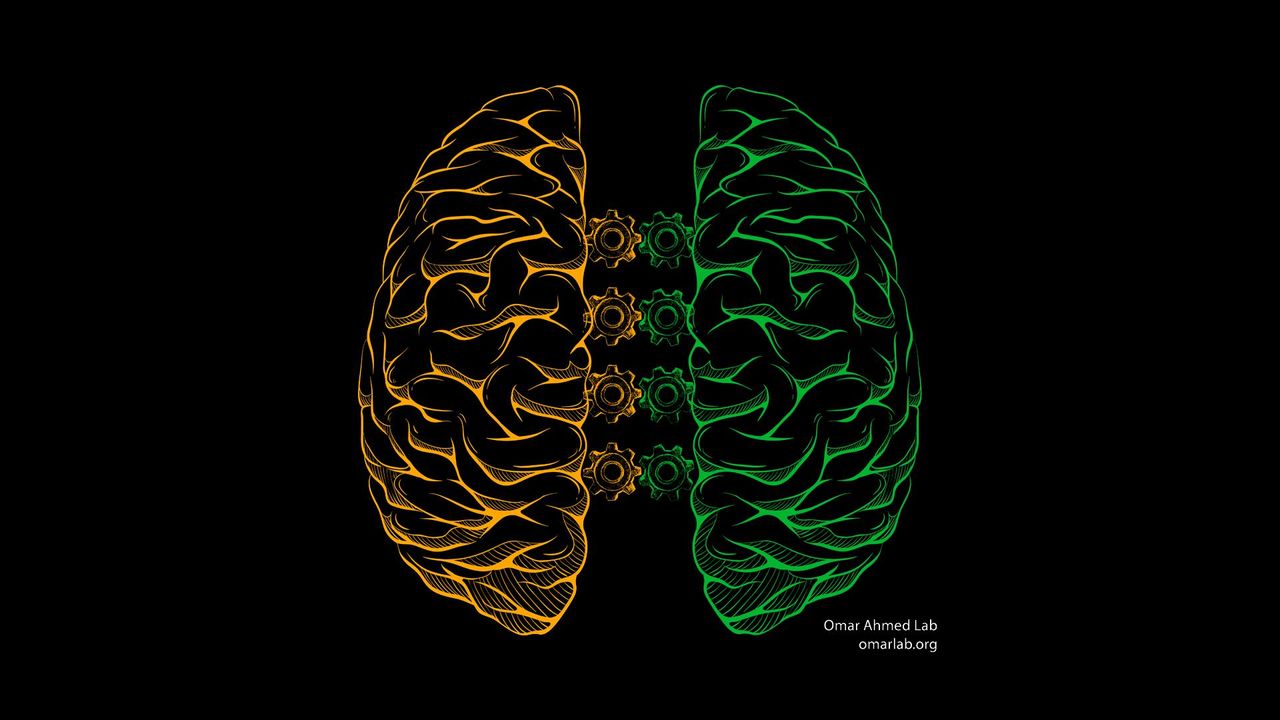 Running and Dreaming Linked to Rapid Form of Left–Right Brain Communication