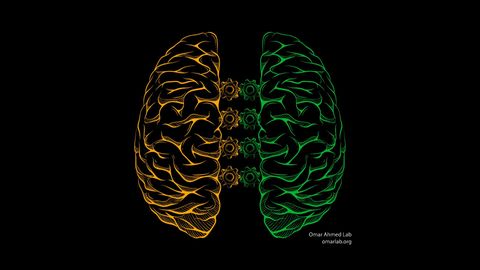Running and Dreaming Linked to Rapid Form of Left–Right Brain Communication