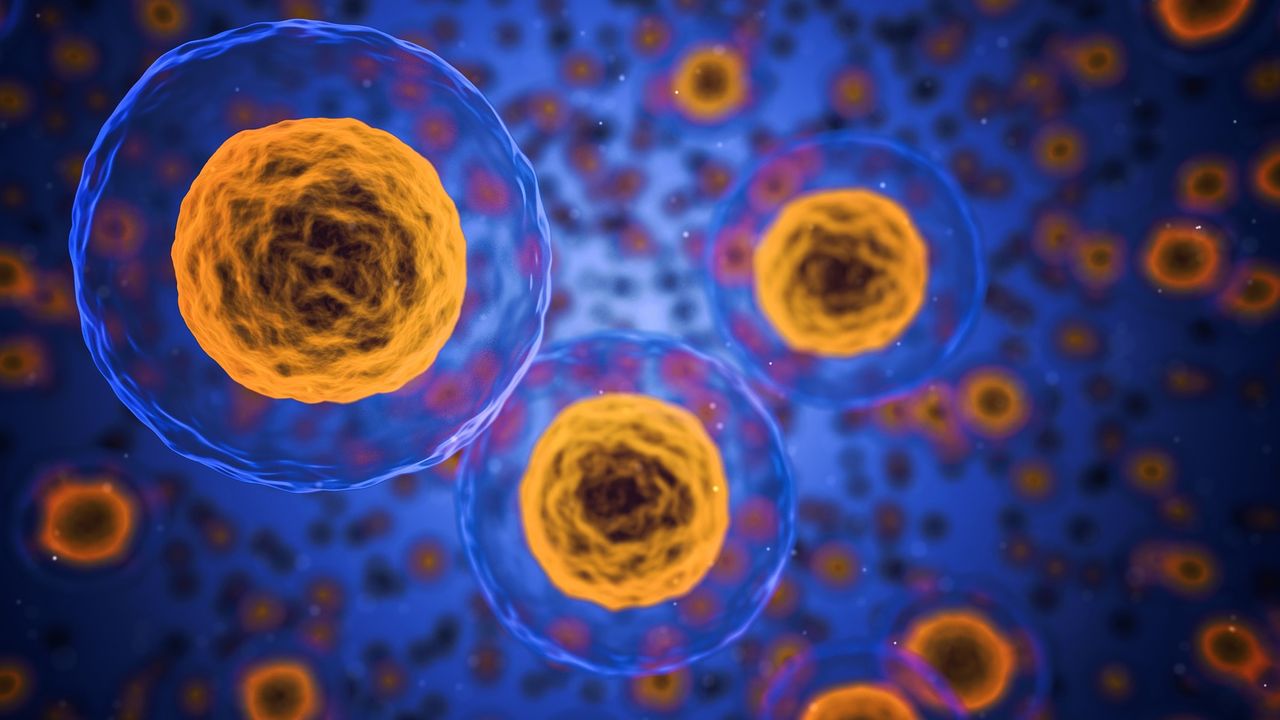 Single-Cell Framework Could Enhance CAR T–Cell Therapy