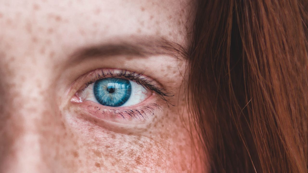 Retina's Circuits for Vision and Sleep Identified