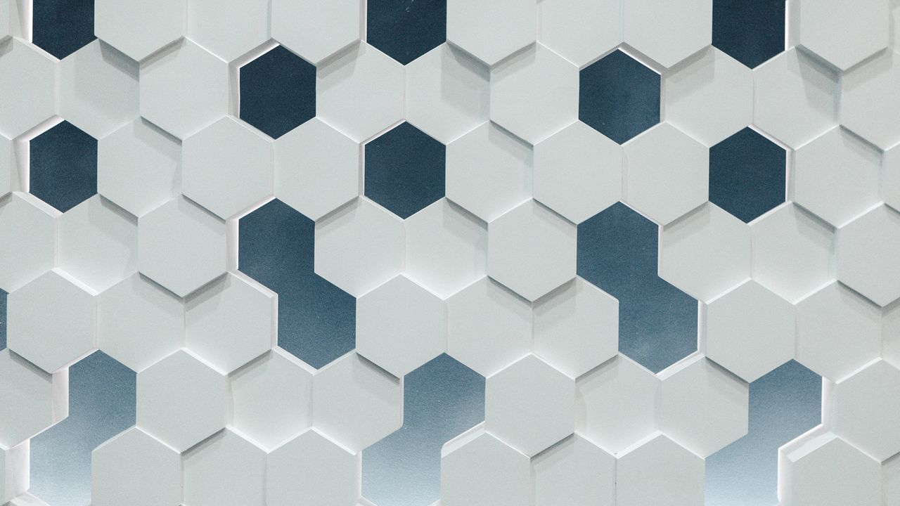 Honeycomb Maze Reveals the Hippocampus's Role in Navigation