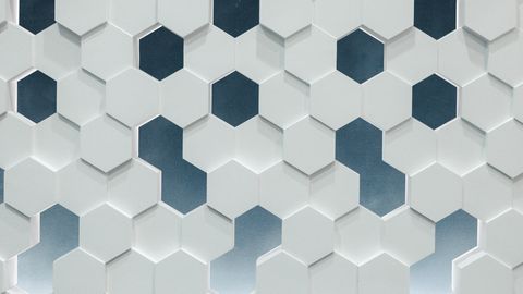 Honeycomb Maze Reveals the Hippocampus's Role in Navigation