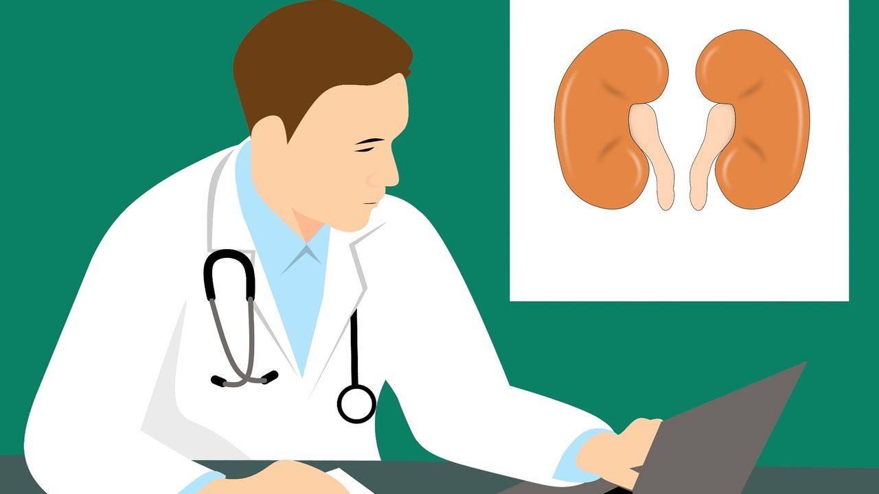 Mini-Kidney Models Help To Identify Potential Drugs for Polycystic Kidney Disease