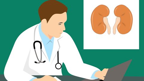 Mini-Kidney Models Help To Identify Potential Drugs for Polycystic Kidney Disease