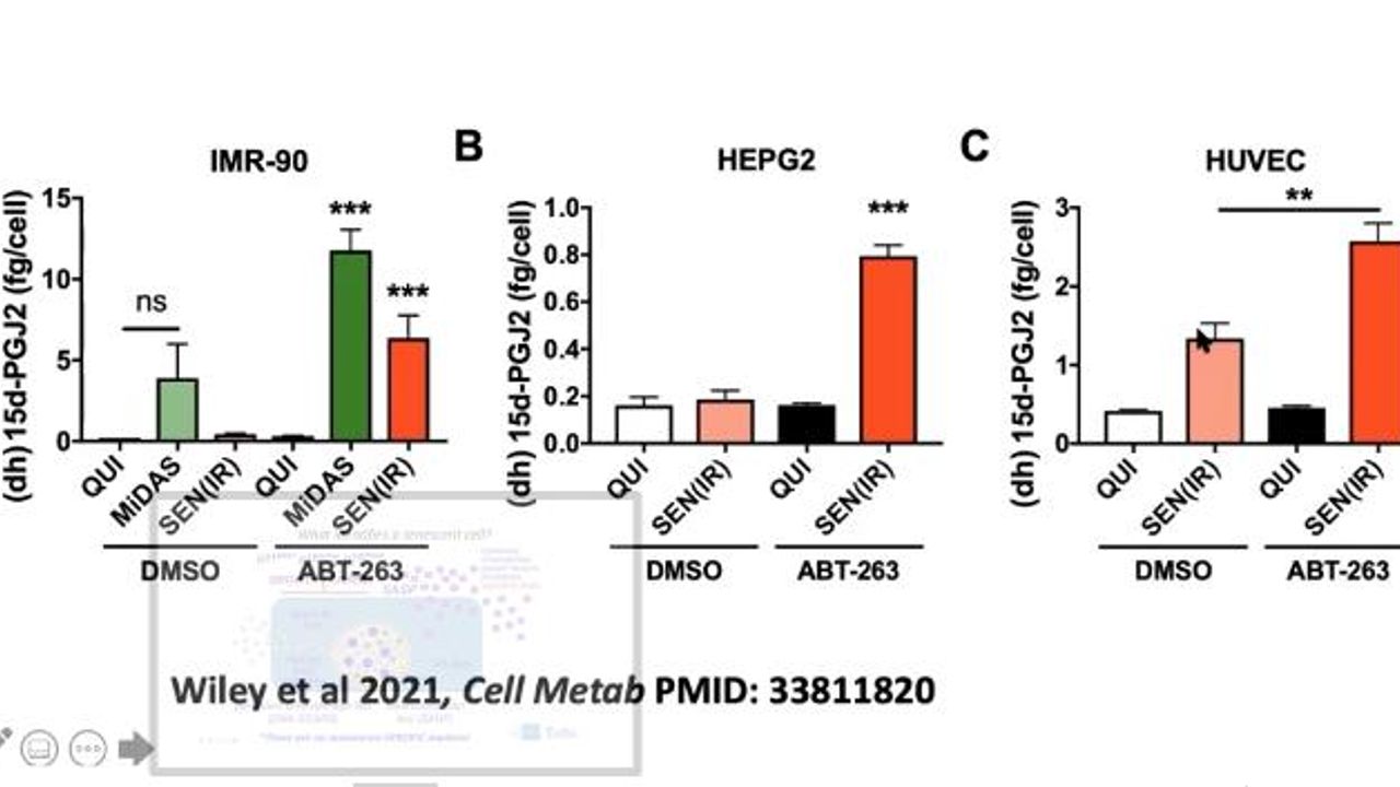 Lipid Biomarker Discovery in Senescent Cells