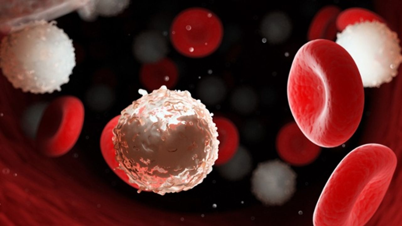 Accelerating Cancer Research Through Comprehensive Genomic Analysis