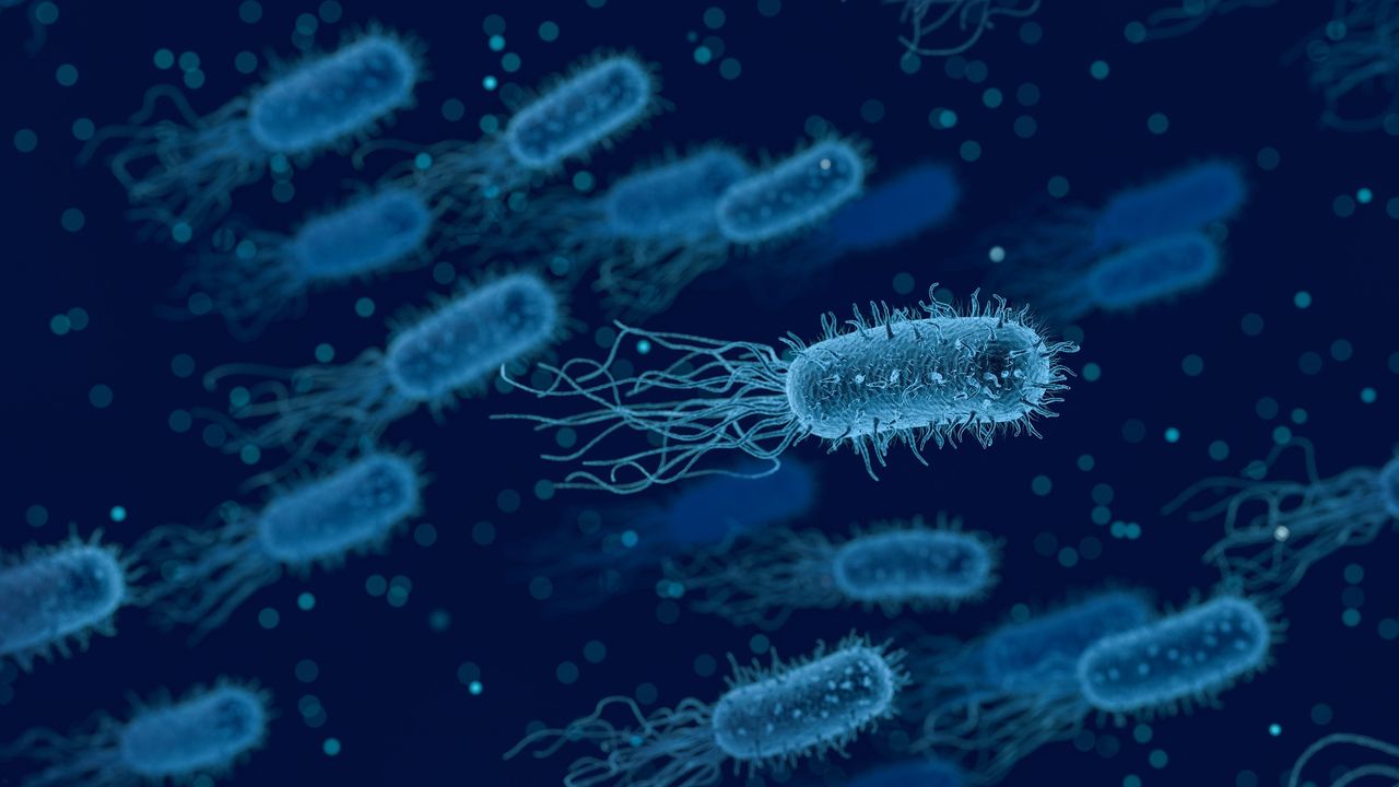A Paradigm Shift in Sepsis Diagnostics