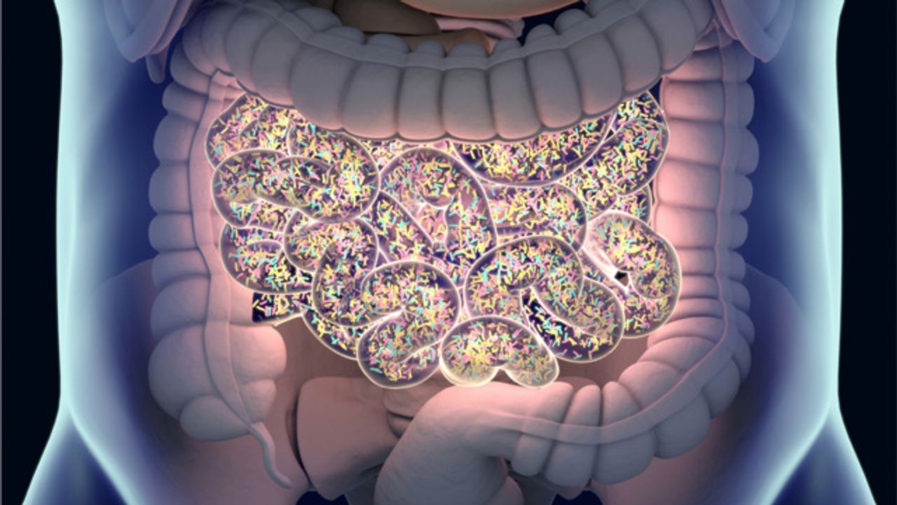 Could Human Breast Milk Balance Your Gut Microbiome?