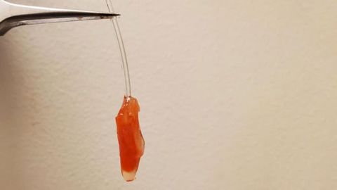 Bioartificial Left Ventricle Created