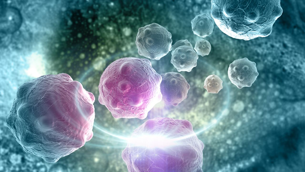 Activating STING Pathway in Glioblastoma May Increase Susceptibility to Immunotherapy