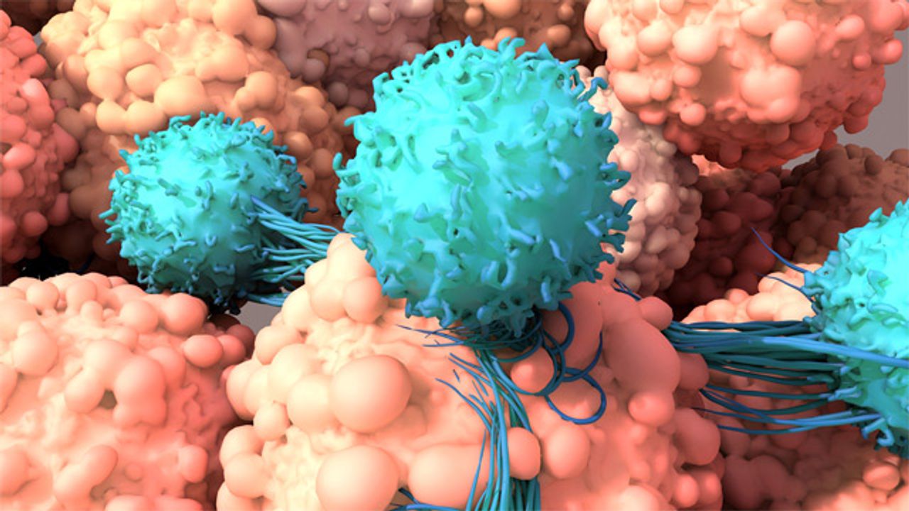 Developing Novel Cell Therapies by Rewiring T-Cell Genomes