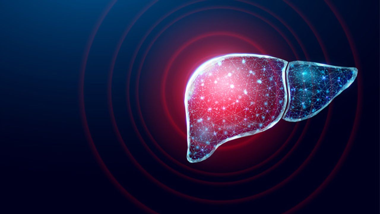 Bridging the Gap Between <i>In Vitro</i> and Animal Models of Liver Disease