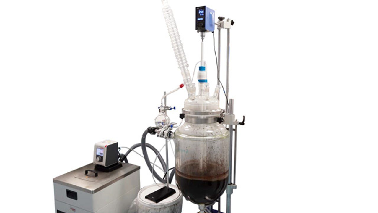Ground-Breaking Waste Extraction Process Offers Sustainable Alternative to Palm Oil