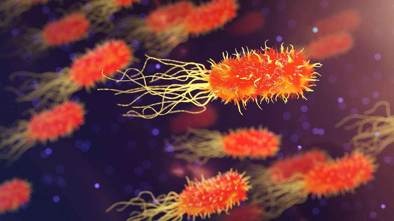 Study Identifies Child Cancer Patients Most at Risk of Serious Infections