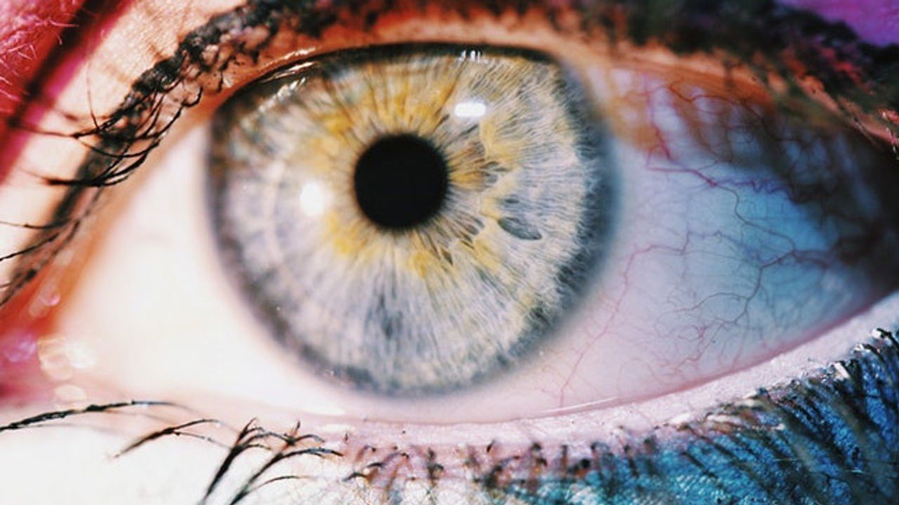 New Human Cell Line Developed To Study Blinding Eye Disorders
